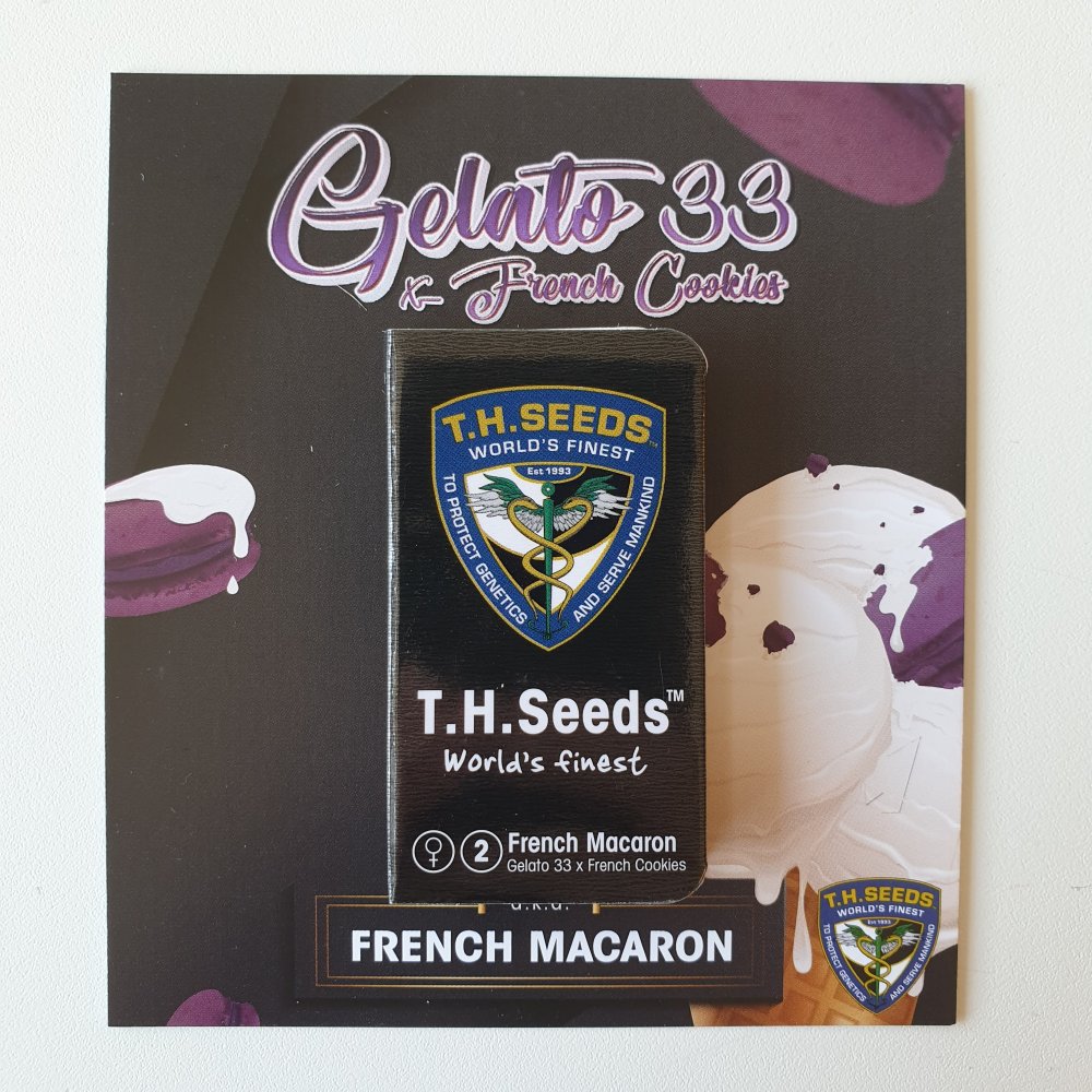 T.H.Seeds™ Cannabis Seeds French Macaron, razno pakiranje, feminizirano 2 pcs
