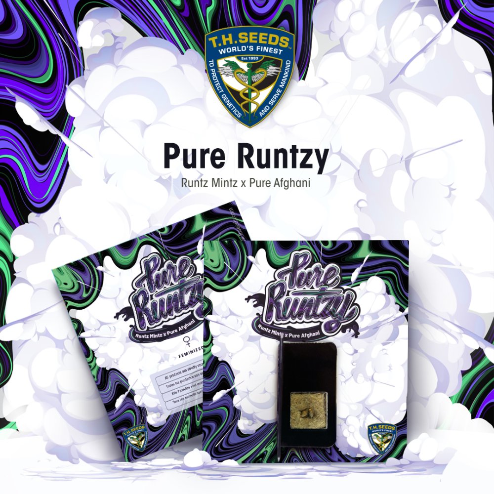 T.H.Seeds™ Cannabis Seeds Pure Runtzy, razno pakiranje, feminizirano 2 pcs