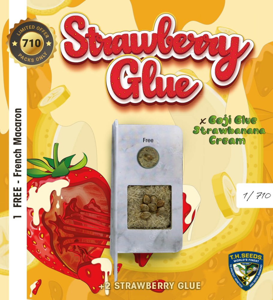 T.H.Seeds™ Cannabis Seeds Strawberry Glue, razno pakiranje, feminizirano 2 pcs