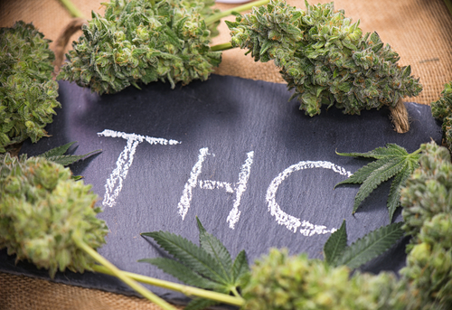 THC už se dnes k výrobě HHC nevyužívá, nahradilo ho CBD. 
