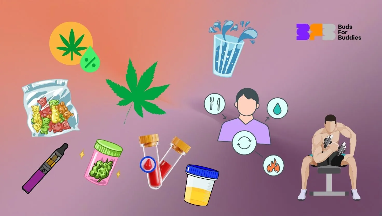 Infographic showing factors affecting how long THC remains in the blood – including method of consumption (edibles, vaping), hydration, physical activity, metabolism and sensitivity of specific tests