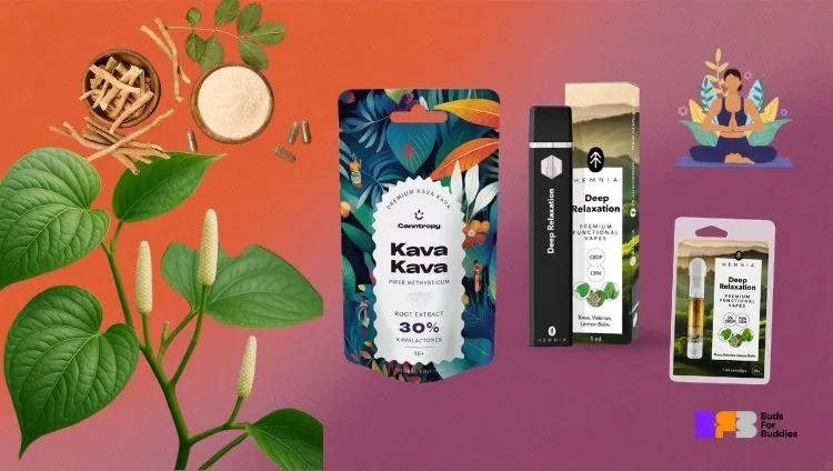 Kava kava plant, extract, vape, and meditating woman – representation of Kava Kava products, BudsForBuddies logo at bottom right