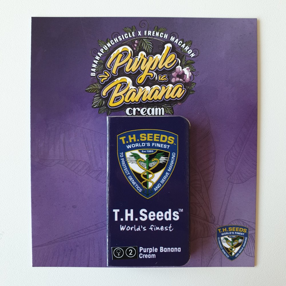 T.H.Seeds™ Cannabis Seeds Purple Banana Cream, razno pakiranje, feminizirano 2 pcs
