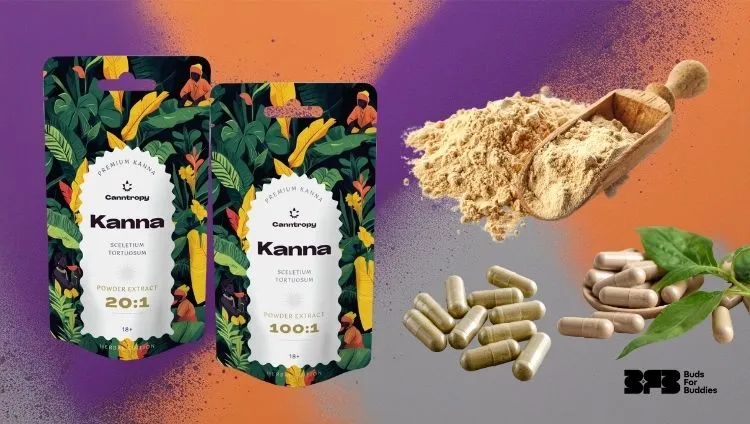 Various forms of cannabis: powder, capsules, and extract from Canntropy 20:1 and 100:1, black BudsForBuddies logo at bottom right