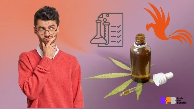 Jak rozpoznać wysokiej jakości Phoenix Tears (produkt z CBD): mężczyzna rozmyślający, butelka ekstraktu z wynikami badań laboratoryjnych i logo Buds For Buddies w prawym dolnym rogu