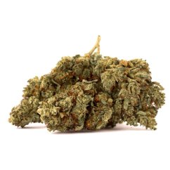 Euphoria T9HC Blueberry Diesel kukat irtotavarana, 100 g