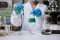 Production of THCO in the laboratory with the help of a microscope and comparison of a plant in a test tube and a container