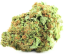 CanaPuff CBD hamppukukka sitruunahakku, CBD 14 %, 1 g - 10 g