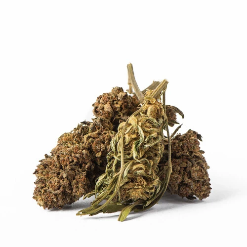 Euphoria CBD Weed Platinum Harle Tsu, 100 g