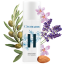 Annabis Cremcann Hyaluron luonnollinen kasvovoide, 50 ml