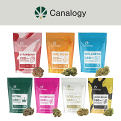 Canalogy CBD cvijeće, Sve u jednom setu - 7 varijanti x 1g do 100g