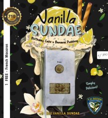 T.H.Seeds™ Cannabis Seeds Vanilla Sundae, eri pakkaus, feminisoitu