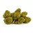 Small Buds Greenhouse Flowers, 10 g - 100 g
