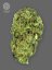 The Bulldog Seeds TB Sour Diesel Normaali, 3 ja 5 kpl