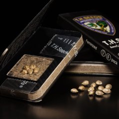 ROOTS - Roční předplatné (12 čísel) + 5x MK-Ultra od TH Seeds