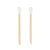 PAX Cleaning Swabs