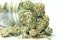 CBG flowers are becoming more and more popular despite the higher price