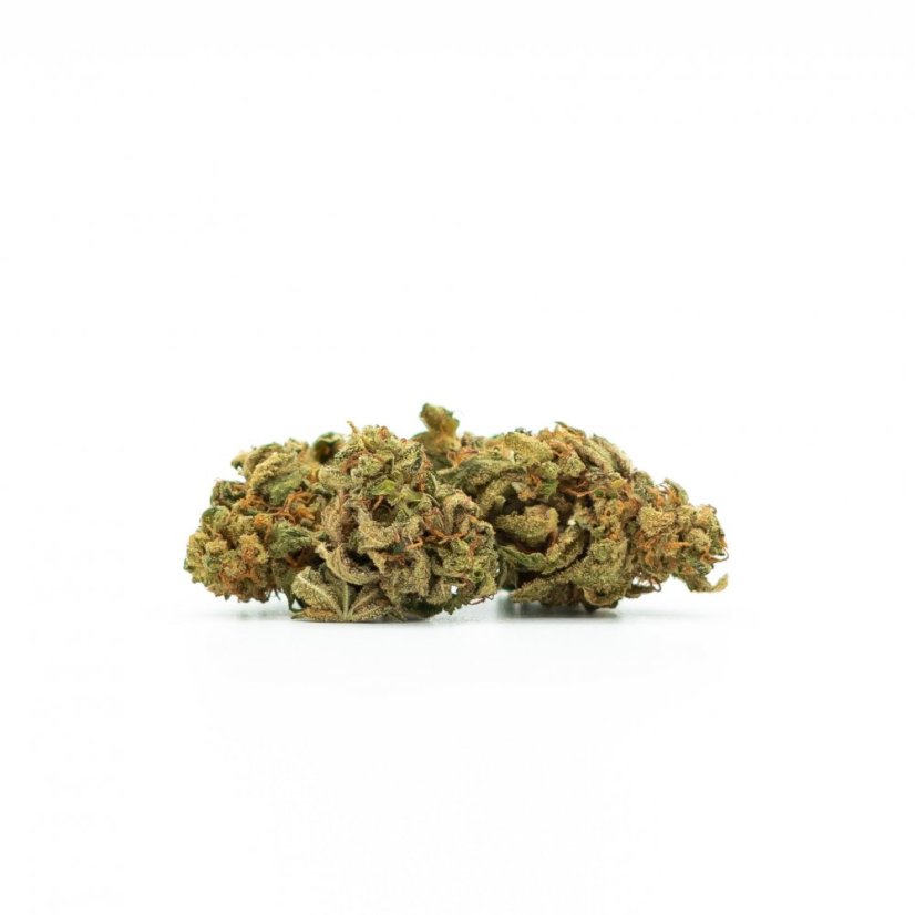 Canalogy HHC lill Šogun 10 %, 1g - 1000g