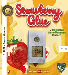 T.H.Seeds™ Cannabis Seeds Strawberry Glue, eri pakkaus, feminisoitu