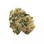 Canalogy CBD Konopljin cvet sladkorna kraljica 17%, 1 g - 1000 g
