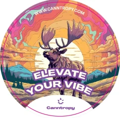 Canntropy-tarra - satunnainen