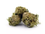Flowrolls CBD virág Amnezia Haze kültéri, 1g - 100g