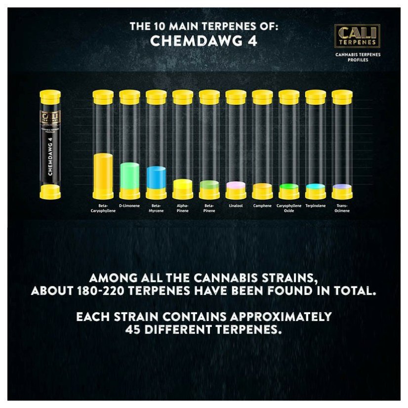 Cali Terpenes - Chemdawg 4, 1 - 1000 ml