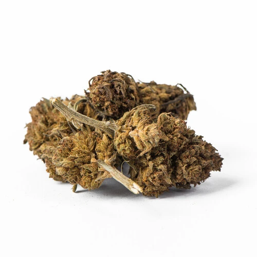 Euphoria CBD Weed Platinum Harle Tsu, 100 g