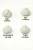 Ice Rock Flowers sample set - CBD Ice Rock, HCT Ice Rock, 10-OH-HHCP Ice Rock, THCX Ice Rock, 4 x 1 g