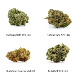 CBD-kukkien näytepakkaus – Durban Gelato 15 % CBD, Green Crack 20 % CBD, Blueberry Cookies 25 % CBD, Kush Mint 30 % CBD, 4 x 1 g