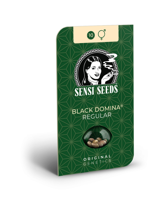 Sensi Seeds Cannabis Seeds Black Domina® Regular, 10 kpl