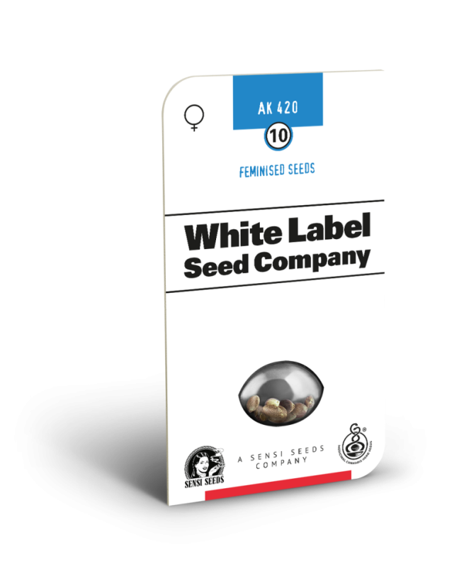 Sensi Seeds Cannabis Seeds AK-420 Feminized by White Label, 3-10 kpl