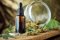 With CBD flowers in the kitchen