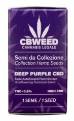 Cbweed Deep Purple CBD - 1x Autoflowering Feminized Seed