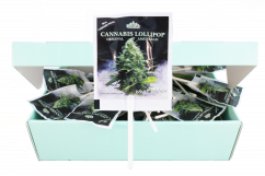 HaZe Cannabis White Widow Lollipops – Витрина Кутия (100 близалки), 1200 g