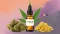 THCA products: cannabis flower, a bottle of THCA oil, and THCA extract.