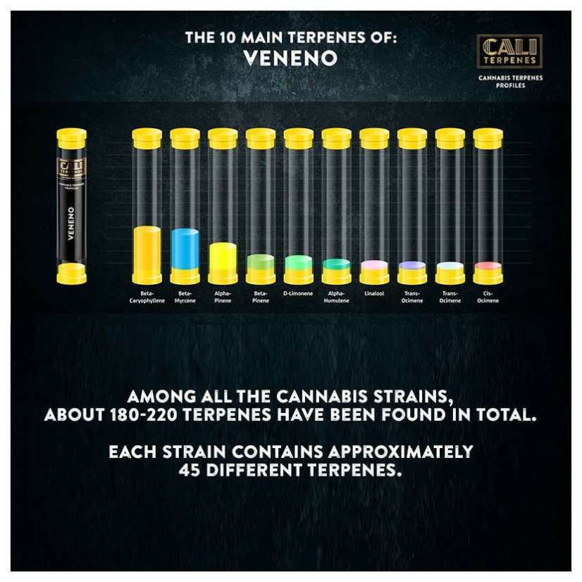 Cali Terpenes - ВЕНО, 1 - 1000 мл