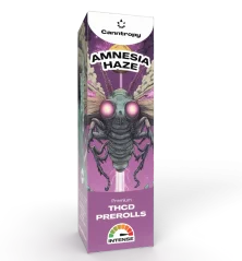 Canntropy THCD Preroll Amnesia Haze, 1 g