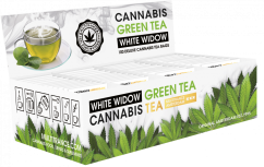 Tè verde alla Cannabis White Widow - Contenitore espositivo (100 bustine di tè), 200 g