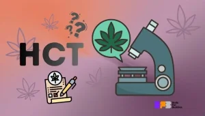 HCT: uusi toimija kannabismaailmassa