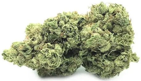 CanaPuff CBD Hampunkukka Fire Kush, CBD 13 %, 1 g - 10 g
