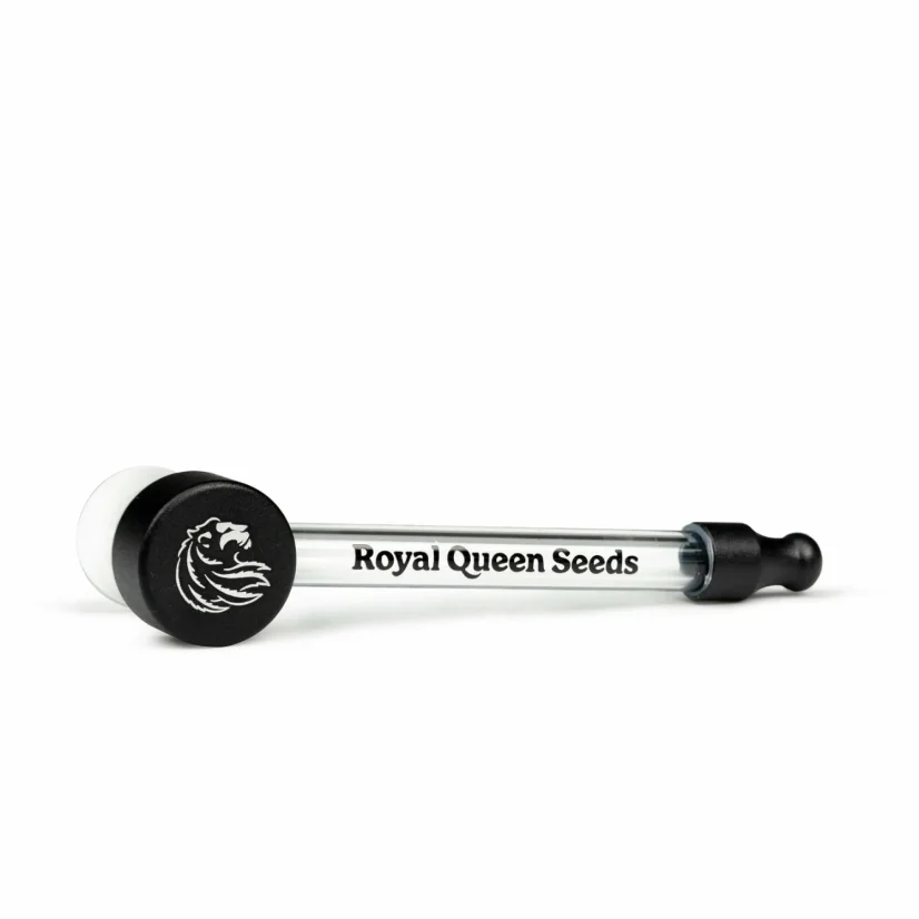 Royal Queen Seeds Glass Pipe