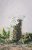 Dobré Konopí Zioło konopi Santhica z CBG 50g