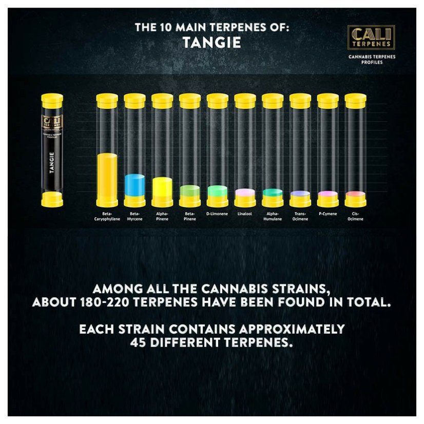 Cali Terpenes - TANGIE, 1 - 1000 ml