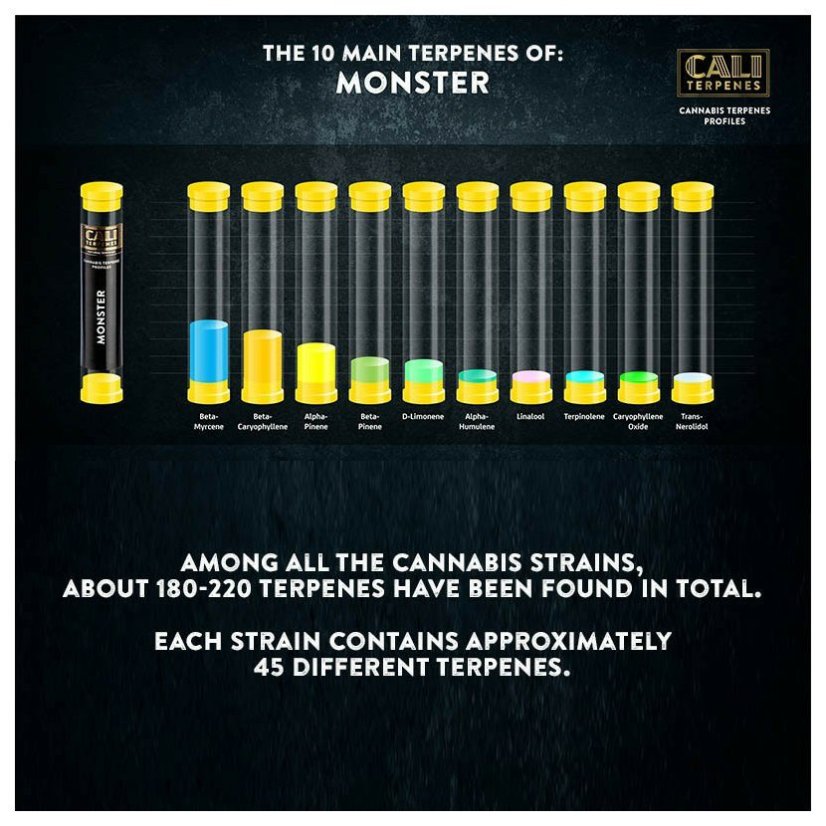Cali Terpenes - MOSTRO, 1 - 1000 ml