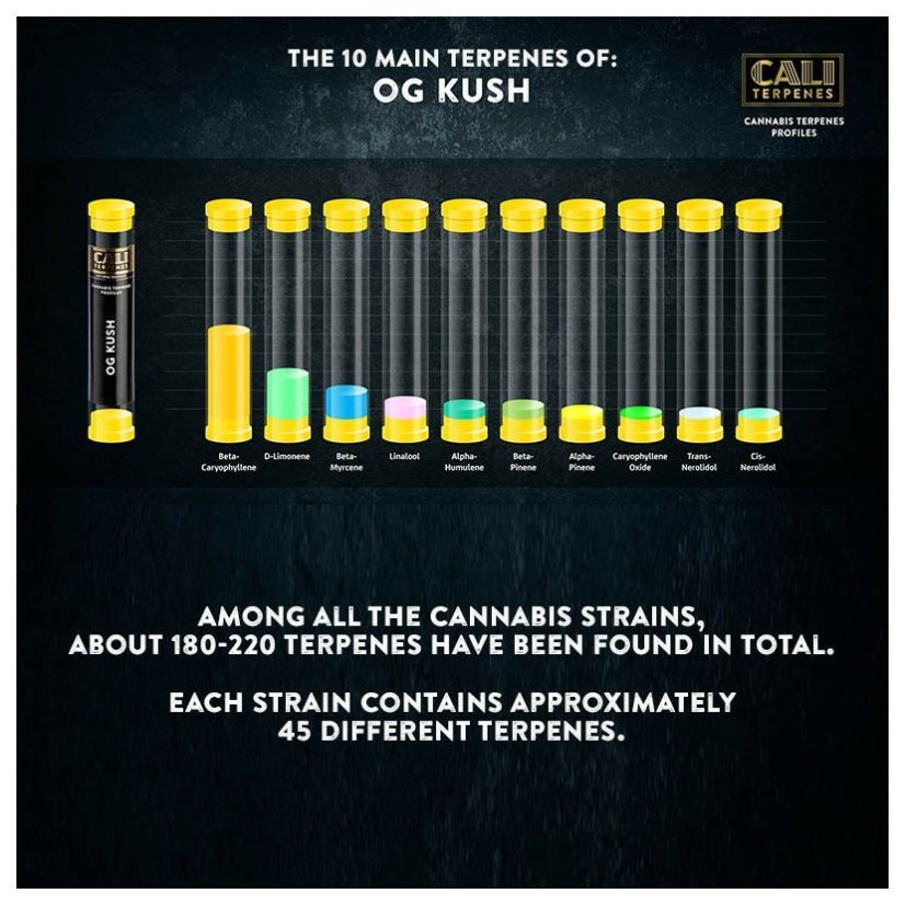 Cali Terpenes - OG KUSH, 1 - 1000 ml