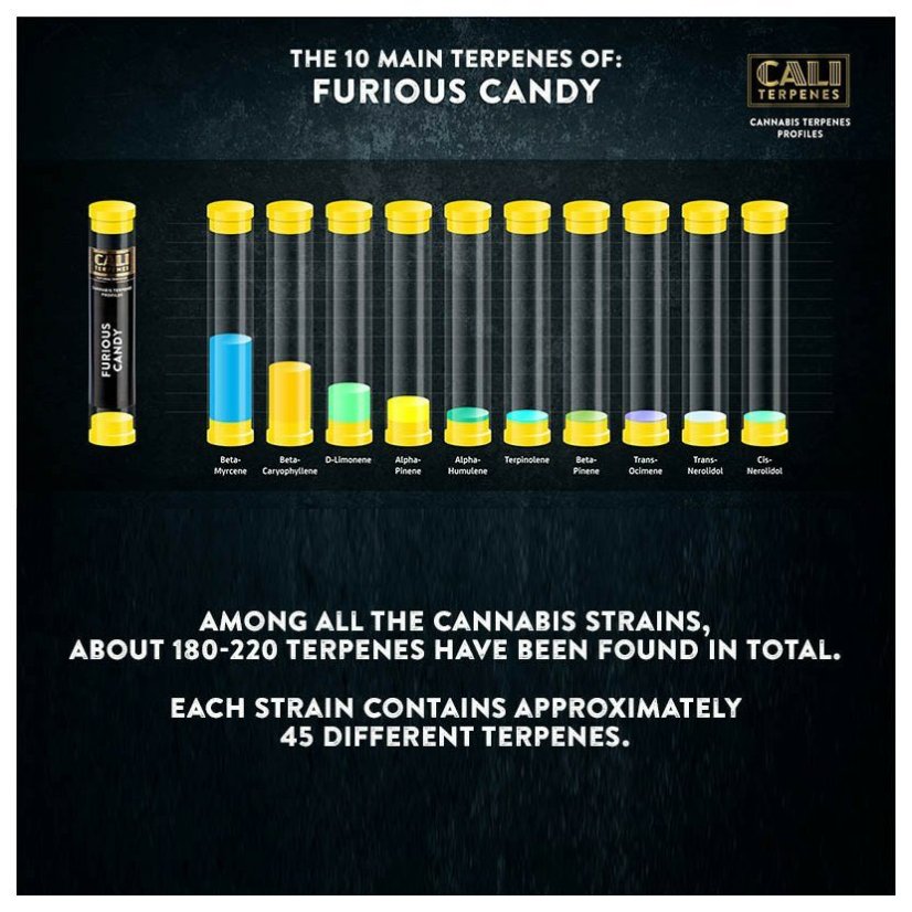 Cali Terpenes - ŽELATÓN, 1 - 1000 ml