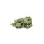 Canalogy Cânhamo CBD flor Incêndio Kush 13 %, 1g - 1000g