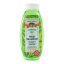 Palacio Shampoing au CANNABIS, 500 ml