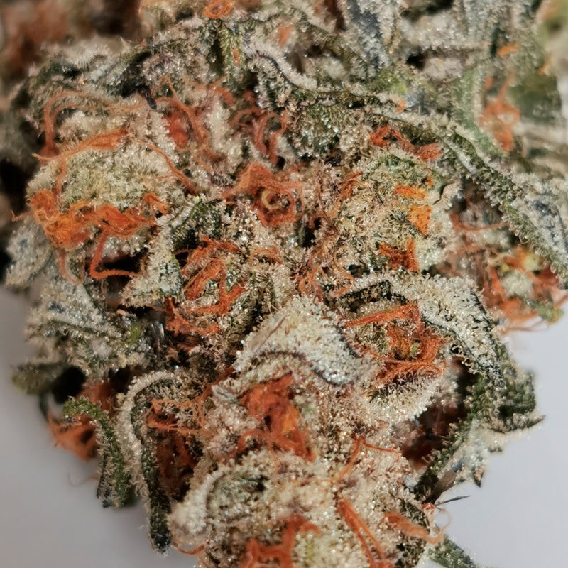 Silent Seeds Classic Cannabis Seeds Amnesia Lemon Feminized
